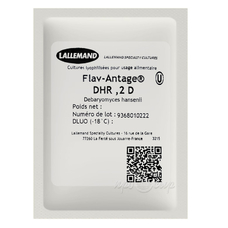 Дрожжи Lallemand Flav-Antage® DHR (2D) (на 100 литров молока)